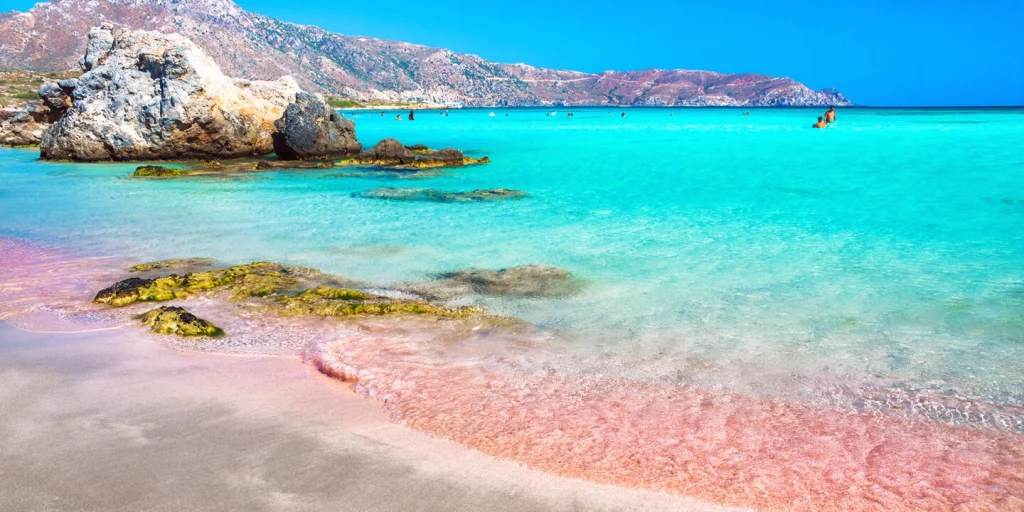 Pink Sands Shoreline, Bahamas