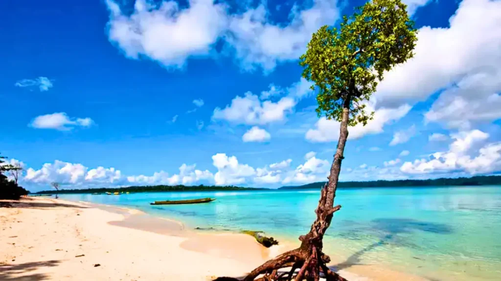 Beach Time When Sea Conditions Are Best