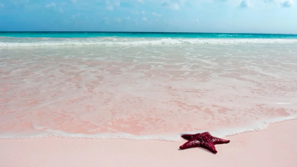 Pink Sands, Bahamas