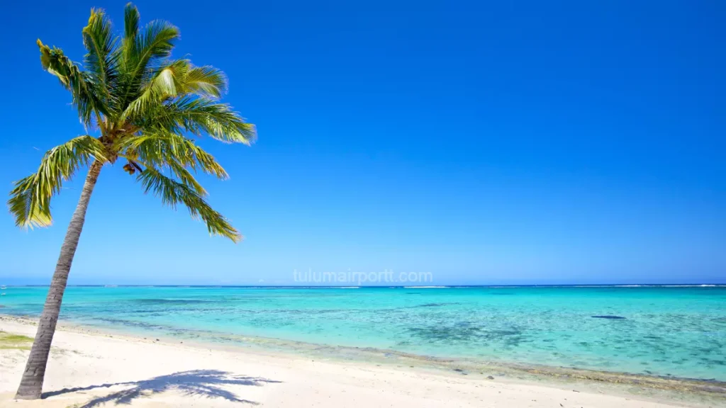 Playa Paraiso, Mexico