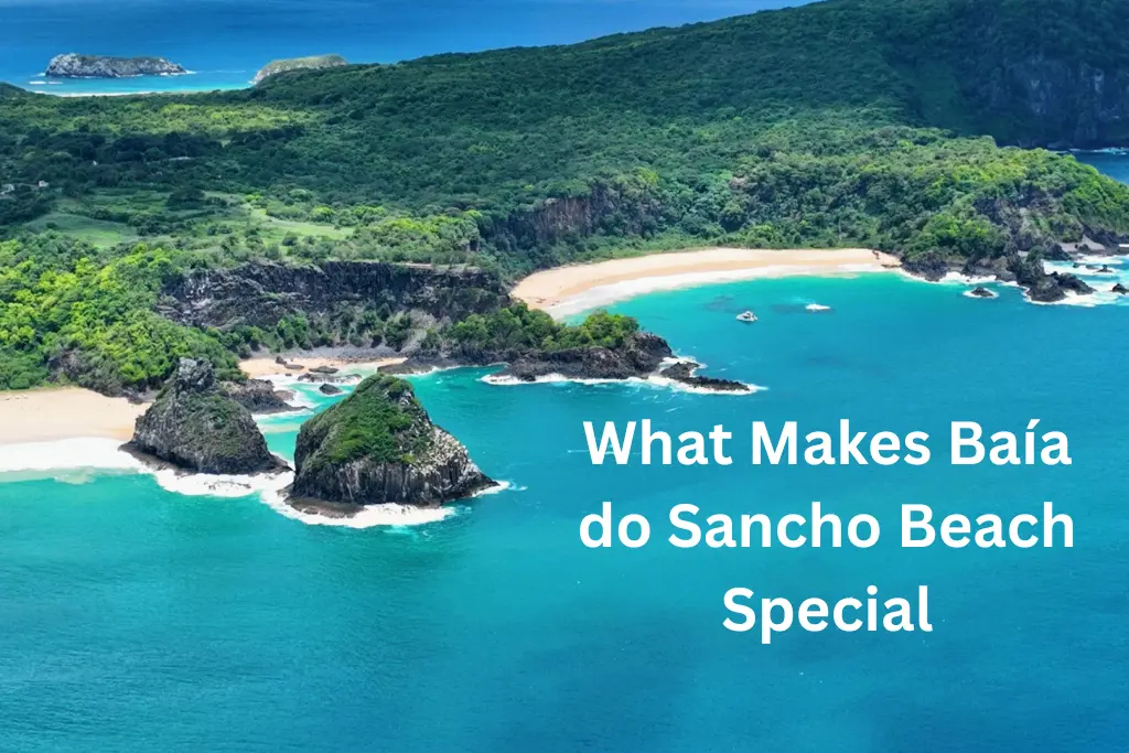 Baía do Sancho Beach Special