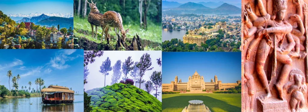 Explore Some Trending Places