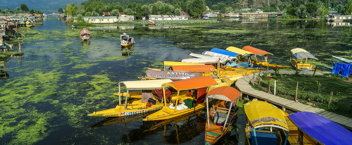 Tourism and Economic Development