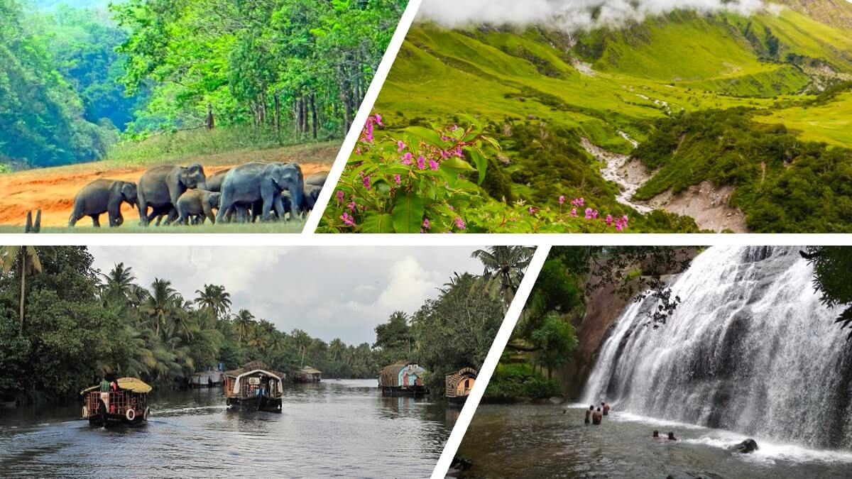 Nature Escapes and Eco Tourism