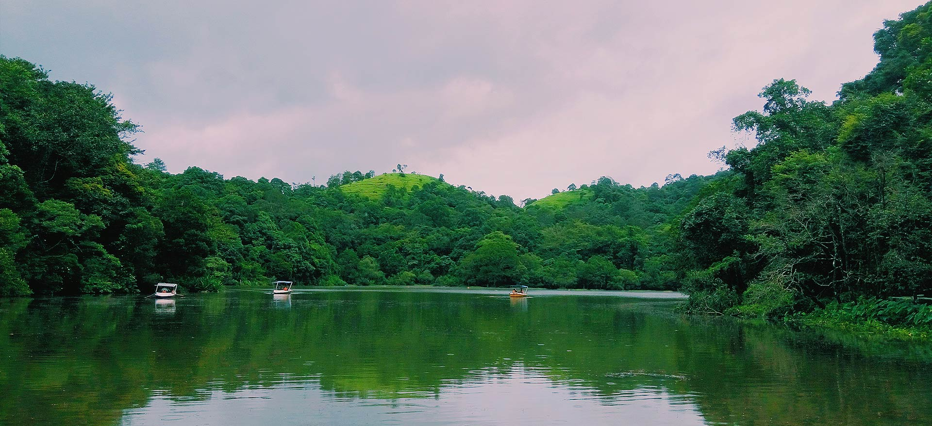 Wayanad s green forests water streams