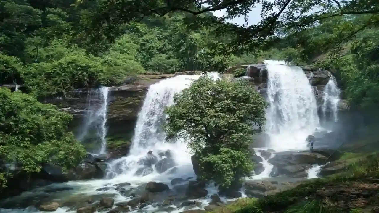 Munnar in Rainy Season