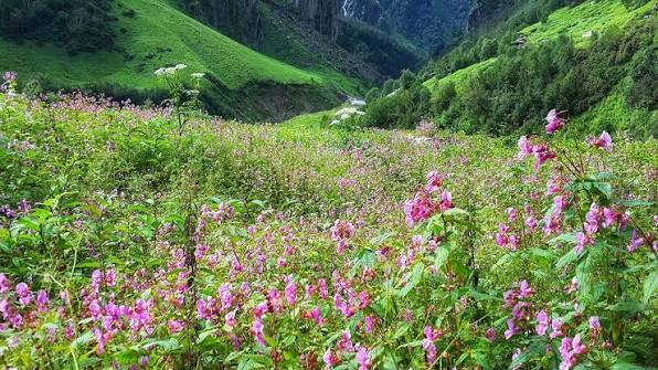 Valley of Flowers in Uttarakhand