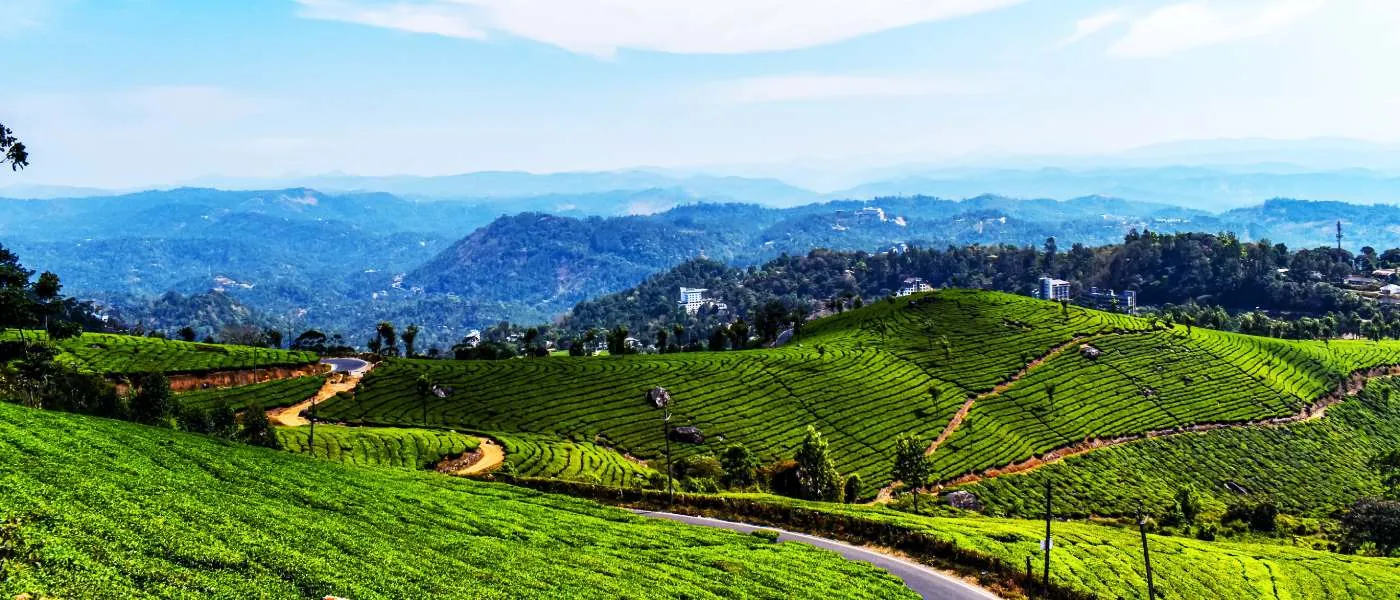 Munnar, Kerala