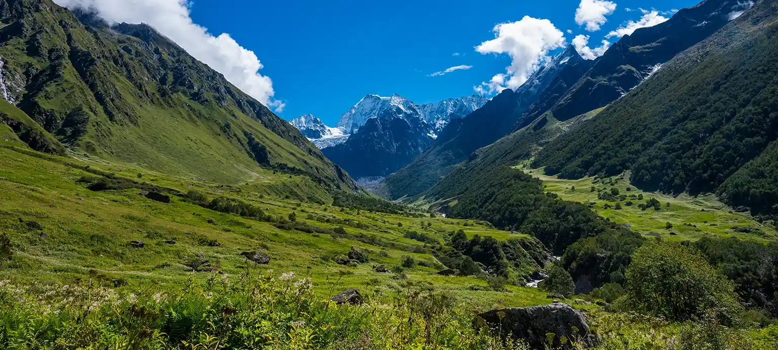 Valley of Flowers Trek, Uttarakhand