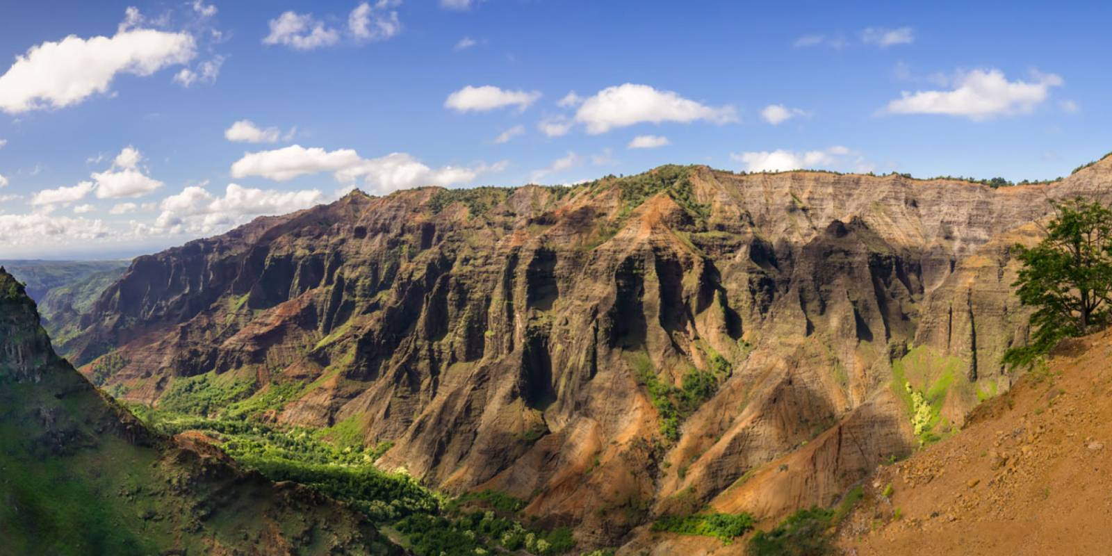Waimea Canyon and Hiking Tours